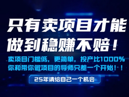 只有卖项目才能做到稳挣不赔，门槛低，更简单，你也可以年入百个W【揭秘】-凌秋网创