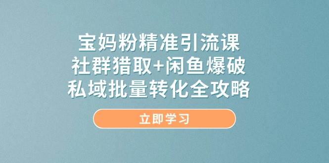 宝妈粉精准引流课，社群猎取+闲鱼爆破，私域批量转化全攻略-凌秋网创