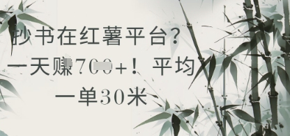 抄书在小红薯平台？平均一单30米，一天收益几张！-凌秋网创