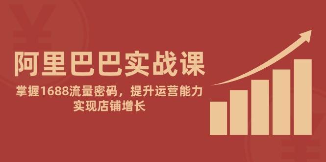 （14830期）阿里巴巴实战课：掌握1688流量密码，提升运营能力，实现店铺增长-凌秋网创