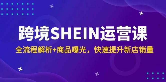 （14832期）跨境SHEIN运营课，全流程解析+商品曝光，快速提升新店销量-凌秋网创