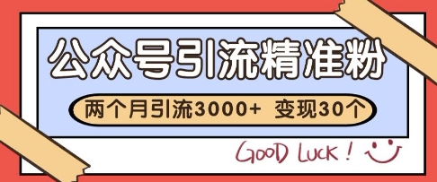 公众号精准粉引流玩法，2个月3000+精准粉，变现30个W【揭秘】-凌秋网创