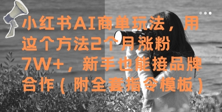 小红书AI商单玩法，用这个方法2个月涨粉7W+，新手也能接品牌合作(附全套指令模板)-凌秋网创
