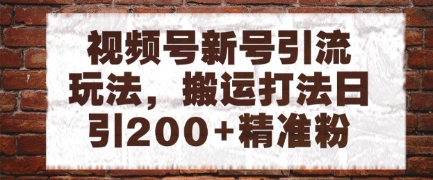 视频号新号引流玩法，搬运打法日引200+精准粉，可矩阵放大【揭秘】-凌秋网创