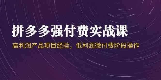 拼多多强付费实战课-44期，高利润产品项目经验，低利润微付费阶段操作-凌秋网创