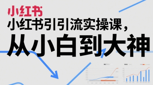小红书引流实操课，从小白到大神-凌秋网创