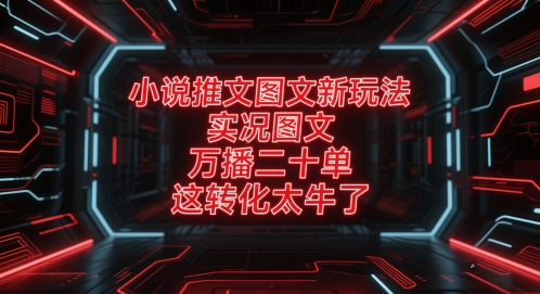 小说推文图文新玩法，实况图文，万播二十单，这转化太牛了！-凌秋网创