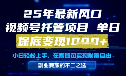 25年最新风口，视频号托管项目，单日保底变现1k+，手把手教学【揭秘】-凌秋网创