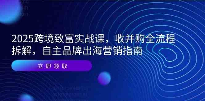 2025跨境致富实战课，收并购全流程拆解，自主品牌出海营销指南-凌秋网创