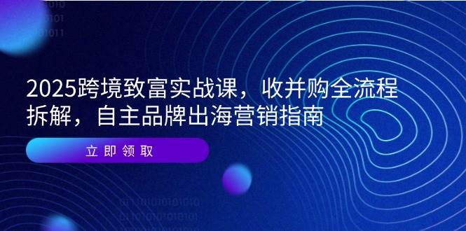 （14975期）2025跨境致富实战课，收并购全流程拆解，自主品牌出海营销指南-凌秋网创