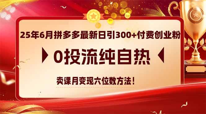 （14989期）25年6月拼多多最新日引300+付费创业粉，0投流纯自热 卖课月变现六位数方法-凌秋网创
