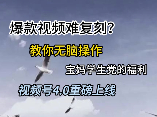 视频号4.0重磅上线，爆款视频难复刻？教你无脑操作宝妈学生党的福利【揭秘】-凌秋网创