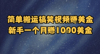 简单搬运搞笑视频挣美金，新手一个月入1k美金-凌秋网创