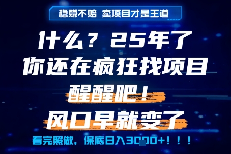什么？25年你还在疯狂找项目做，醒醒吧，看完这些你全都懂了！【揭秘】-凌秋网创