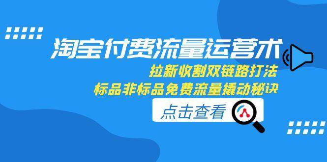 （15135期）淘宝付费流量运营术，拉新收割双链路打法，标品非标品免费流量撬动秘诀-凌秋网创