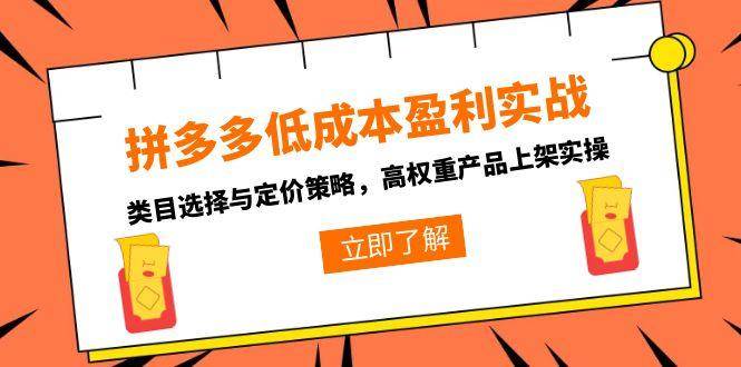 （15143期）拼多多低成本盈利实战，类目选择与定价策略，高权重产品上架实操-凌秋网创