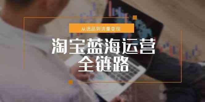 淘宝蓝海运营全链路，从选品到流量变现，小类目突围完整方案-凌秋网创