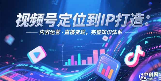 （15173期）视频号定位到IP打造：账号搭建-内容运营-直播变现，完整知识体系-凌秋网创