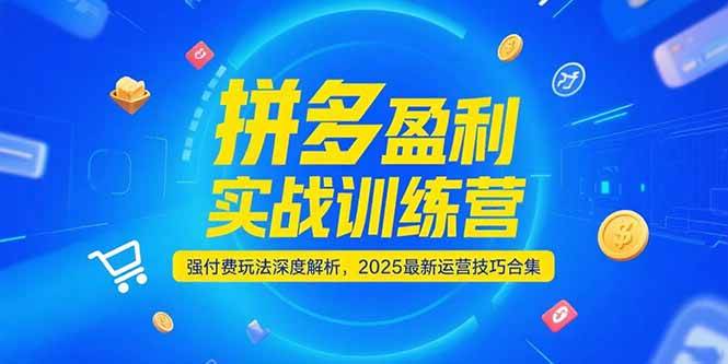 （15183期）拼多多盈利实战训练营，强付费玩法深度解析，2025最新运营技巧合集-凌秋网创