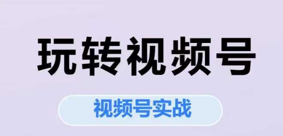 玩转视频号，视频号实战系列课-凌秋网创