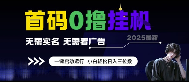 首码0撸挂G项目，无需实名无需看广告 一键启动运行，小白轻松日入三位数【揭秘】-凌秋网创