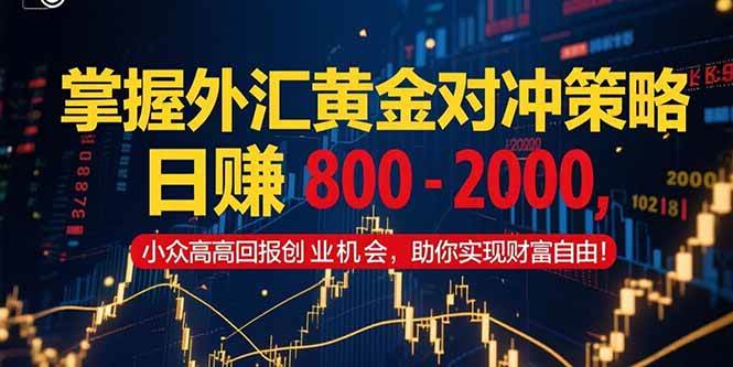 （15198期）掌握外汇黄金对冲策略，日赚 800 – 2000，小众高回报创业机会，助你实…-凌秋网创