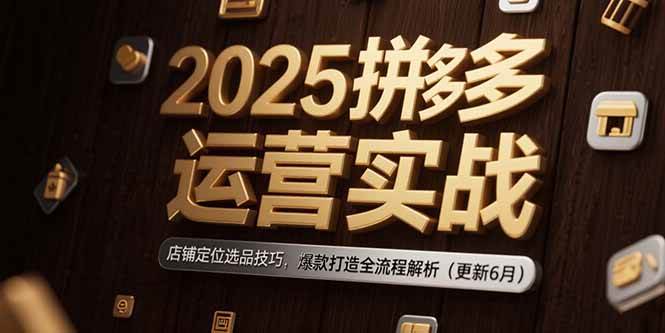 （15235期）2025拼多多运营实战：店铺定位选品技巧，爆款打造全流程解析（更新6月）-凌秋网创