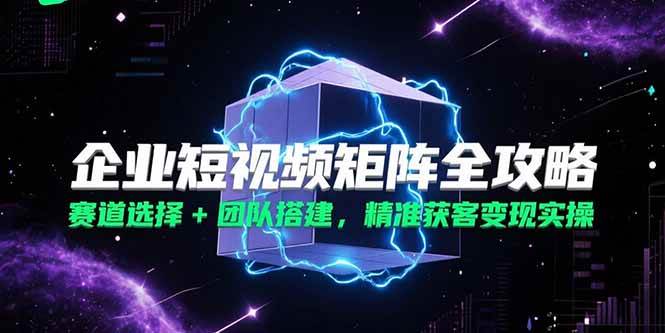 （15242期）企业短视频矩阵全攻略，赛道选择+团队搭建，精准获客变现实操-凌秋网创