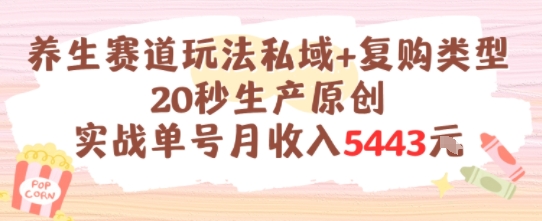 养生赛道玩法私域+复购类型，20秒生产原创实战单号月收入5k+-凌秋网创