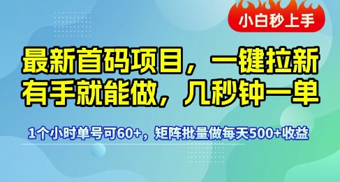 最新首码项目，一键拉新有手就能做，几秒钟一单，1个小时单号可60+，矩阵批量做每天5张【揭秘】-凌秋网创