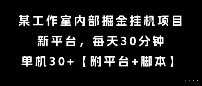 某工作室内部掘金挂G项目，新平台，每天30分钟，单机30+【揭秘】-凌秋网创