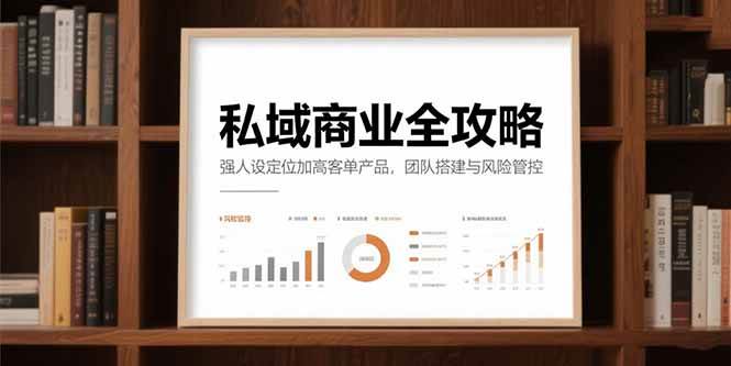 （15294期）私域商业全攻略，强人设定位加高客单产品，团队搭建与风险管控-凌秋网创