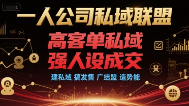 一人公司私域联盟，高客单私域，强人设成交，建私域 搞发售 广结盟 造势能-凌秋网创