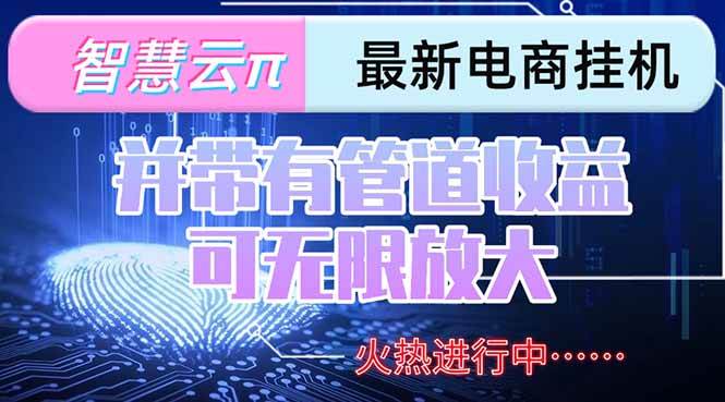 （15314期）智慧云π电脑挂机单机每天收益300—500+ 并带有团队管道收益 可无限放大-凌秋网创