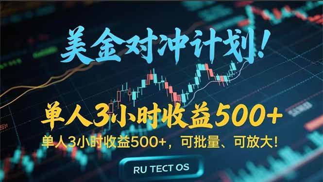 （15321期）长久稳定的撸美金项目，平均3小时收入 500+，可公司实地考察实地操作！-凌秋网创