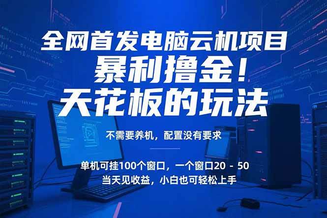 （15323期）电脑云机项目 暴力撸金玩法，不需要养机 配置没有要求 单机100个窗口一…-凌秋网创