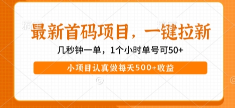 最新首码项目，操作最简单，收益高，一键拉新，1个小时单号可50+，小项目认真做每天5张+收益【揭秘】-凌秋网创