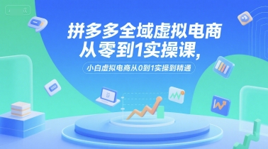 拼多多全域虚拟电商从零到1实操课，小白虚拟电商从0到1实操到精通-凌秋网创