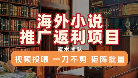 海外小说推广返利项目，视频投喂， 一刀不剪，矩阵批量-凌秋网创