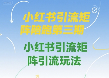 小红书引流矩阵陪跑第三期，小红书引流矩阵引流玩法-凌秋网创