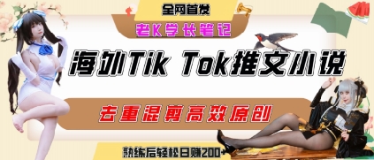 海外tiktok小说推文暴力项目，高停留率，高转化率，上手后一天搞顿饭钱不是问题-凌秋网创