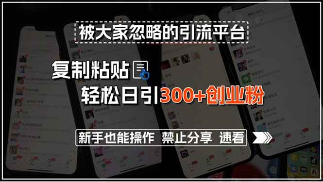（15428期）被大家忽略的引流平台，复制粘贴轻松日引300+创业粉，新手也能操作，禁…-凌秋网创