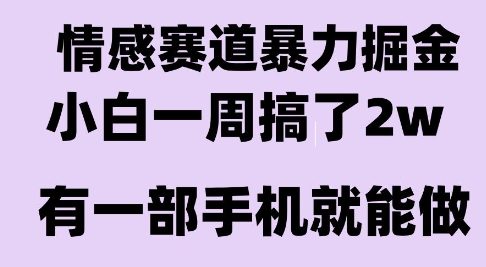 情感暴力掘金项目，新人操作一周挣了2W，长期稳定小白可做【揭秘】-凌秋网创