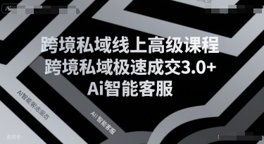 跨境私域线上高级课程，跨境私域极速成交3.0+Ai智能客服-凌秋网创