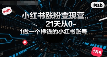 小红书涨粉变现营，21天从0-1做一个挣钱的小红书账号-凌秋网创