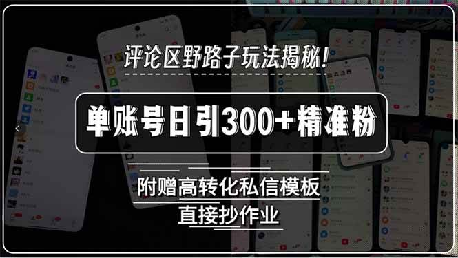 （15466期）评论区野路子玩法揭秘！单账号日引300+精准粉，附赠高转化私信模板，直…-凌秋网创