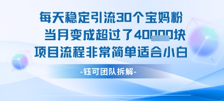 每天稳定引流30个人 当月变成超过了4个W项目流程非常简单适合小白-凌秋网创