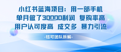 小红书蓝海项目，一部手机单月做了3W利润，小白也能月入过1W用户认可度高成交多-凌秋网创