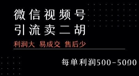 视频号卖二胡教程，利润大 易成交 售后少，一单利润5张+-凌秋网创