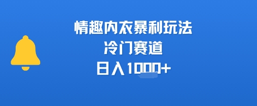 情趣内衣暴利玩法，冷门赛道，日入1k+-凌秋网创